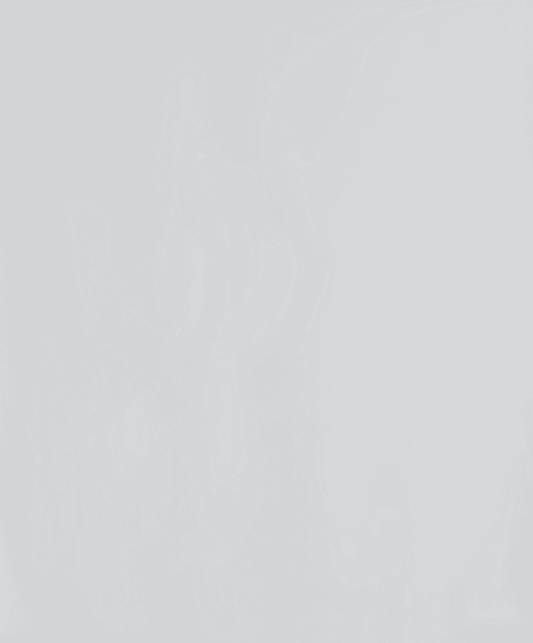 Eclipse Cordless 100% Blackout Polyester Roller Window Shades, 23" x 72"