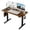 Brown, variant on 48"x24" Black Electric Height-Adjustable Standing Desk, 3 Memory Presets, Home Office Workstation for Study & Gaming