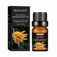 thumbnail image 1 of 20 Flavors Natural Essential Oils for Aroma Diffusers & Humidifiers, 10ml Water-Soluble Aromatherapy Fragrance Set for Home & Office Relaxation, 1 of 8