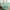 Turquoise, variant on Move Over Green Duvet Cover Set Queen Sage Green Bedding Sets Pom Poms Pattern Washed Microfiber No Filling