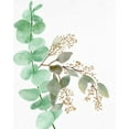 thumbnail image 2 of Allen, Kimberly 15x18 White Modern Wood Framed Museum Art Print Titled - Eucalyptus 2, 2 of 4