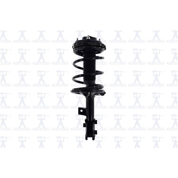 Suspension Strut and Coil Spring Assembly