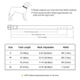 thumbnail image 2 of Beirui Personalized  Soft Leather Dog Collar Custom Engraved Name ID Tag Adjustable S-XL, 2 of 9