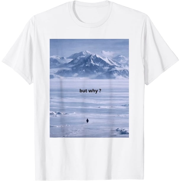 Penguin But Why Meme Head Towards The Mountains - Camiseta motivacional