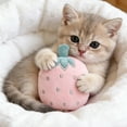 thumbnail image 4 of dgysar Fruit Shaped Plush Squeaky Dog Toy with Internal Squeaker for Small Dogs Soft Fabric Interactive Crinkle Toy for Teething and Mental Enrichment, 4 of 5