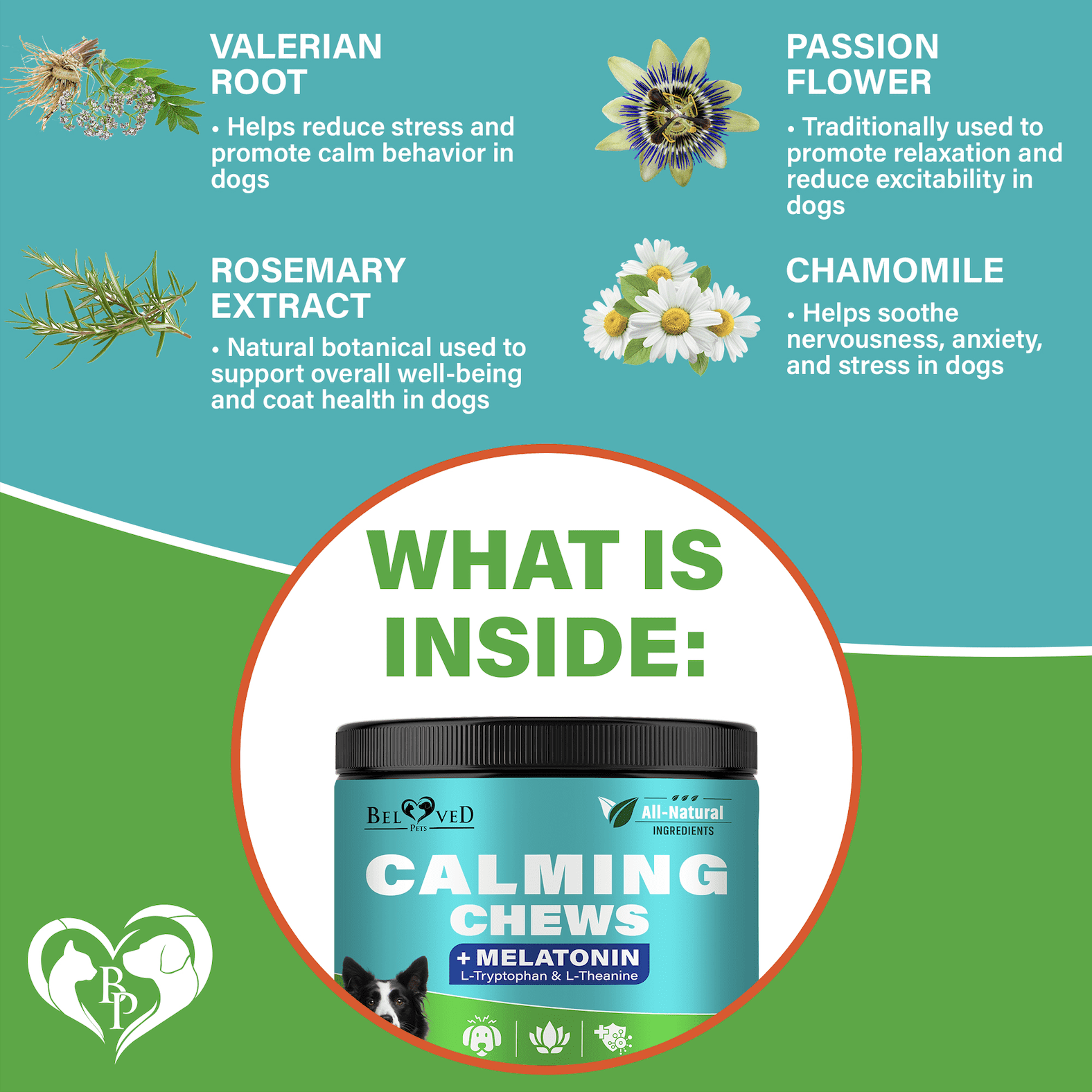Beloved Pets Calming Chews for Dogs – Melatonin Dog Treats for Anxiety Relief, Stress Support & Sleep Aid – Relaxing Supplement for Fireworks, Thunder, Travel & Barking – Natural Anti-Stress Dog Chew