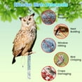 thumbnail image 5 of Owl To Keep Birds Owls Bird Scarers Reflective Hanging Bird Decoration Side Printed Owl To Keep Birds From Garden, 5 of 6
