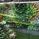 thumbnail image 5 of Plantas artificiales Decoración de pared Colgante al aire libre Plástico Falso hoja verde Fondo Decoración de boda, L Yuarrent HA005109-03, 5 of 6