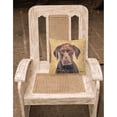 thumbnail image 2 of Carolines Treasures SC9117PW1414 German Shorthaired Pointer Wipe your Paws Fabric Decorative Pillow, 14Hx14W, multicolor, 2 of 4