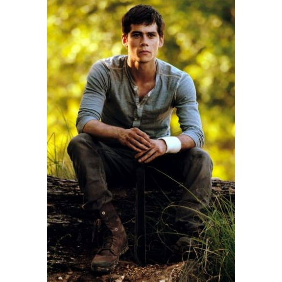 Dylan Obrien Poster Metal Poster 8in x 12in Print on Metal 8x12 Square Adults Metal Wall Art