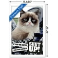 thumbnail image 3 of Grumpy Cat - Shut Up Wall Poster, 14.725" x 22.375", Framed, 3 of 5