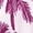 J-758 Hot Pink, variant on Beach Brunch Dresses for Women Summer Fall Sleeveless Slip Boat Neck Graphic Long Hawaiian Cami Tank Tropical Dresses Ladies 2026 Clothing