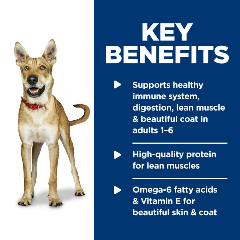 ava wet dog food sensitive stomach Hill's Science Diet Adult Sensitive Stomach & Skin Salmon & Vegetable  Entre Nutrition, Wet Dog Food, 12.5-oz Case of 12