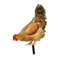 thumbnail image 4 of Estacas de jardín en forma de gallina, estatuilla acrílica, decoración de jardín, escultura Animal fácil de usar, estatua de gallina para valla de Estilo B, 4 of 8