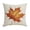 B003- Style C, variant on 18X18 Inch Autumn Throw Pillow Cover, Fall Home Decor Indoor, Farmhouse Fall Decor, Fall Leaves Decor, Seasonal Home Decor, Rustic Watercolor Pumpkin Maple Leaf Print Pillow Case