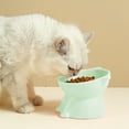 thumbnail image 6 of Elevated Ceramic Cat Food Bowl Large Capacity Pet Feeding Dish Neck Support Design Measuring 5.12x4.13 Inches (Green/2), 6 of 6