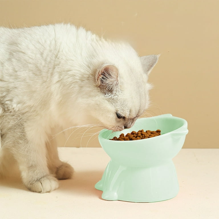 app control smart cat litter box Smart 65L Self-Cleaning Cat Litter Box – App-Controlled Design – iPawPlay main image 1
