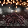 thumbnail image 4 of Halloween Decoration 4.5*3.7 Inch Artificial Realistic Scary Hairy Model Halloween Props Decor For Outdoor Indoor Home Party Prop Educational Learning Toys, 4 of 4