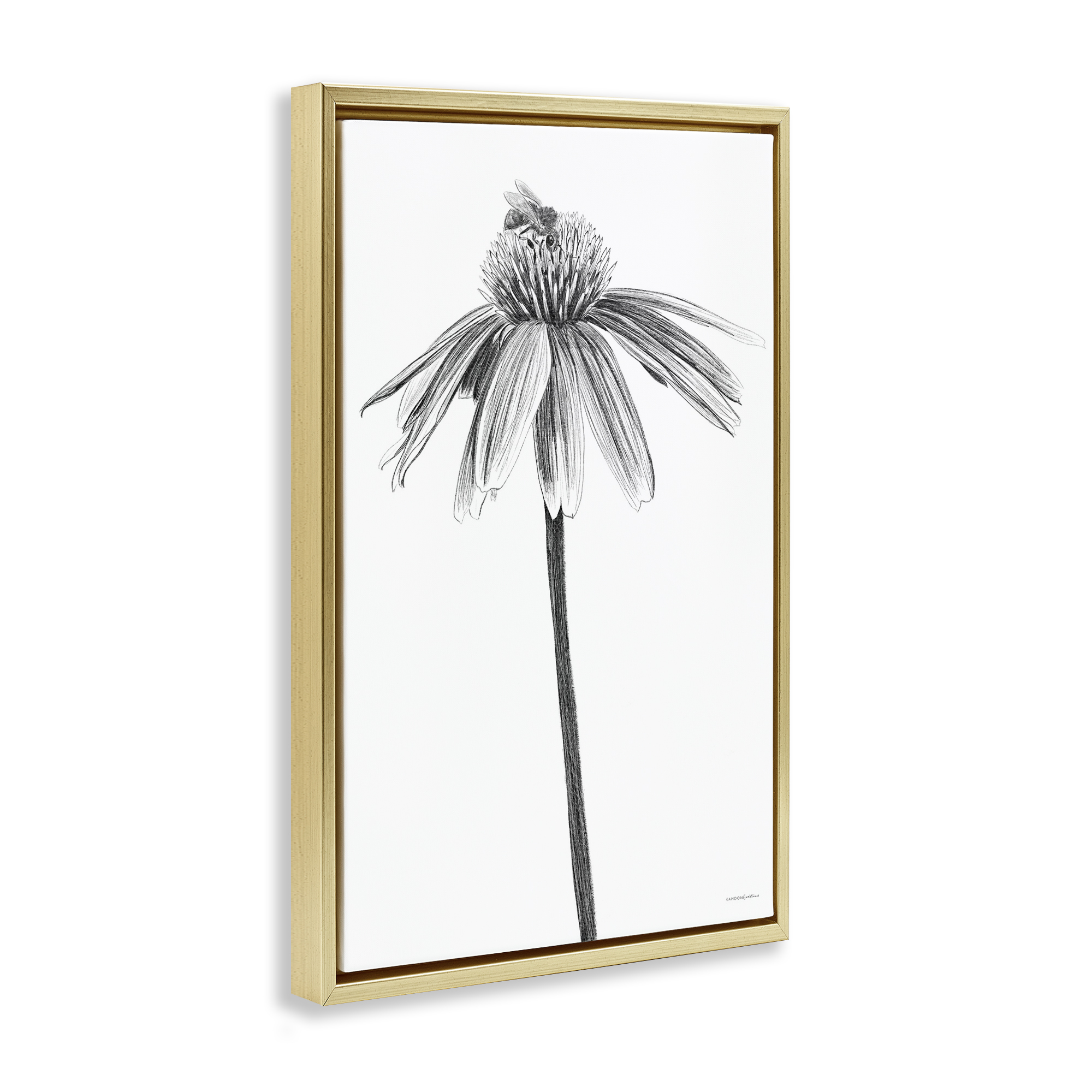 Stupell Industries Simple Daisy Sprig Botanical & Floral Drawing Gold Floater Framed Art Print Wall Art, 17 x 25