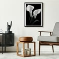 thumbnail image 4 of Black White Calla Lily Flower 5D Diamond Art DIY Paint with Full Drill Round Diamond Gems Painting by Number Kits for Adults Art Craft Home Wall Decor 11.8x15.8in, 4 of 8