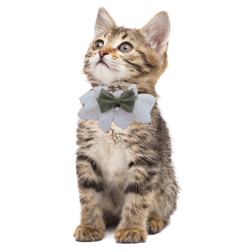 Womens Bow Tie Cats Scarf Kittens Kitties Bows Kitty Ladies Fashion Shawl Soft 