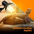 thumbnail image 3 of Paquete de 2 bombillas Bluex para reptiles, 23 W, 10.0 UVB CFL, 3 of 7