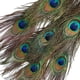 thumbnail image 2 of 2x 10x Plumas de Del Ojo DIY Artesanías de Moda Sombrero 9-13 Pulgadas, 2 of 5