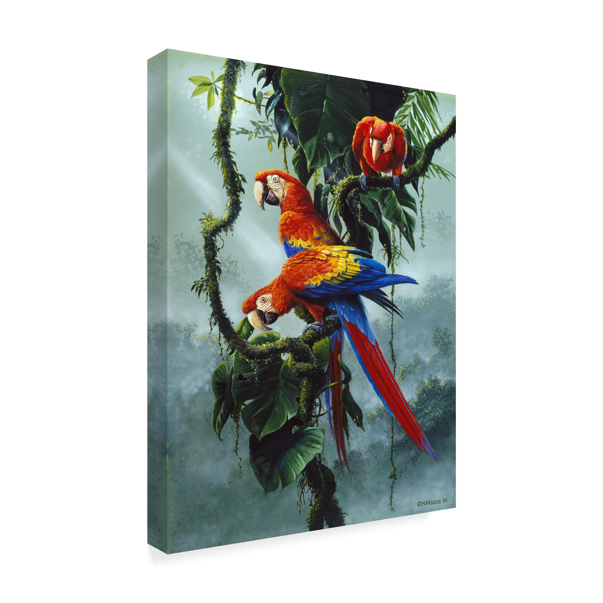 Trademark Fine Art 'Red And Yellow Macaws' Canvas Art by Harro Maass