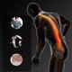 thumbnail image 1 of Equipo de estiramiento Masajeador de espalda Camilla mágica Fitness Soporte lumbar Ndcxsfigh Nuevos Originales, 1 of 6