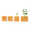 thumbnail image 2 of Modelo De Ciclo De Crecimiento De Plantas De Frijol Verde, Ciclo De Vida De Plantas, Juguete Educativo De Evolución Para Niños matsuzay FN005936-00, 2 of 6