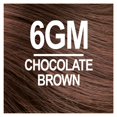 thumbnail image 3 of Tinte de pelo Naturtint 6GM Chocolate Brown Permanente x6, 3 of 8