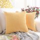 thumbnail image 1 of 45cm Coussin Et Housse De Coussin Ray Jaune Clair Lot De 2, Velours Ctel Doux Dcoratif Carr Housse De Coussin Housses De Coussin Taie D'oreiller,, 1 of 5