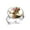 Multi 1, variant on Vintage Ocean Crab Fish Stainless Steel Rings for Women, Open Adjustable Ring Promise Ring Jewelry Gifts