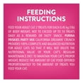 thumbnail image 3 of Friskies Party Mix California Dreamin' Crunch, Cat Treats 170g, 3 of 9