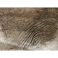 thumbnail image 2 of Prime, Marcus 18x15 White Modern Wood Framed Museum Art Print Titled - Mastadon Tapestry 1, 2 of 4