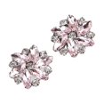 thumbnail image 1 of facefd 2Pcs Rhinestone Shoe Clips Jewelry Crystal Shoe Buckle Wedding Dress Diamond, 1 of 7