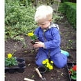 thumbnail image 3 of DeWit Junior Planting Trowel, Boron Steel and 9.5 Inch Long Ash Wood Handle, Fits Small Hands, 3 of 3