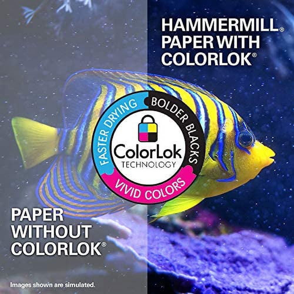 Hammermill Printer Paper, Premium Laser Print 24 lb, 11 x 17-1 Ream (500 Sheets) - 98 Bright, Made in the USA