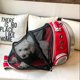 thumbnail image 3 of Mochila Extensible Para Llevar Gatos, Bolsa Para Gatos, Ligera, Transpirable, Impermeable, Mochila Para Llevar Cápsulas Para Gatos matsuzay AP007804-05, 3 of 6