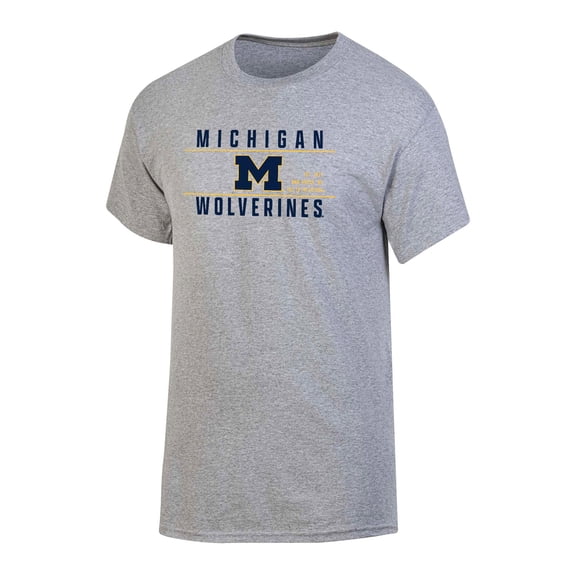NCAA Men's Michigan Wolverines Gray Bar Logo Crewneck Tee