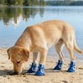 thumbnail image 3 of Breathable Dog Shoes For Providing Care And Comfort With Stylish Design To Showcase Unique Personality, 3 of 3