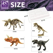 10Leccion Dinosaur Fossil Dig Kit - Dinosaur Toys for Kids Aged 6+, Educational Science Toy and Gift for Boys & Girls