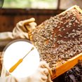 thumbnail image 2 of SHISUYAN Plastic Handle Wire Embedder Beehive Imbedding Tool Roller Beekeeping Tool, 2 of 8
