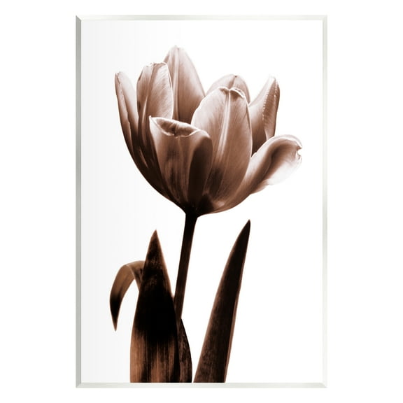 Stupell Industries Modern Tulip on White Botanical & Floral Photography Unframed Art Print Wall Art, 13 x 19