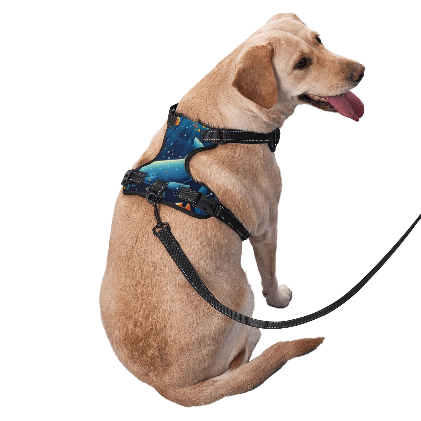 Vsdgher Whimsical Underwater Fantasy Dog Harness, No-Pull Pet Harness, Dog Vest, Pet Vest for Small to Large Dogs-Small