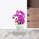 thumbnail image 4 of Mobile Flower Pot Tray with Rolling Casters Round Flowerpot Tray with Hidden Wheels and Water Catcher Decorative Planter Tray for Indoor Plants, 4 of 4