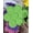 Green, variant on Rubber Floating Outdoor Drinking Station, Portable 29.13in Inflatable Drink Holder for Pool & Lake Party, Yellow