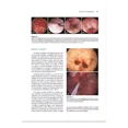 thumbnail image 2 of Manual De Nefrología Y Urología En Pequeños Animales, 2 of 4