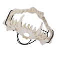thumbnail image 4 of Cosplay , Skull  Waterproof Adjustable Tiger Tooth Type  For Theater For Party For Festival, 4 of 8