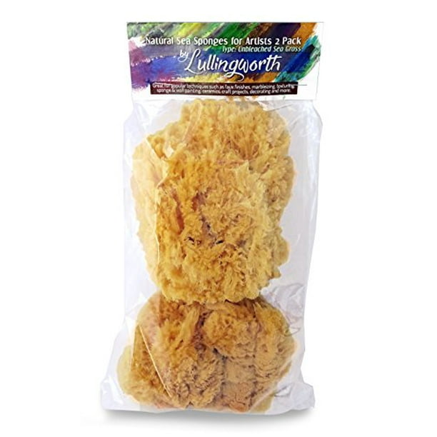 Natural Sea Sponges for Artists Unbleached 5"5.5" 2pc Value Pack